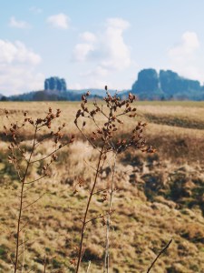 Processed with VSCO with hb2 preset