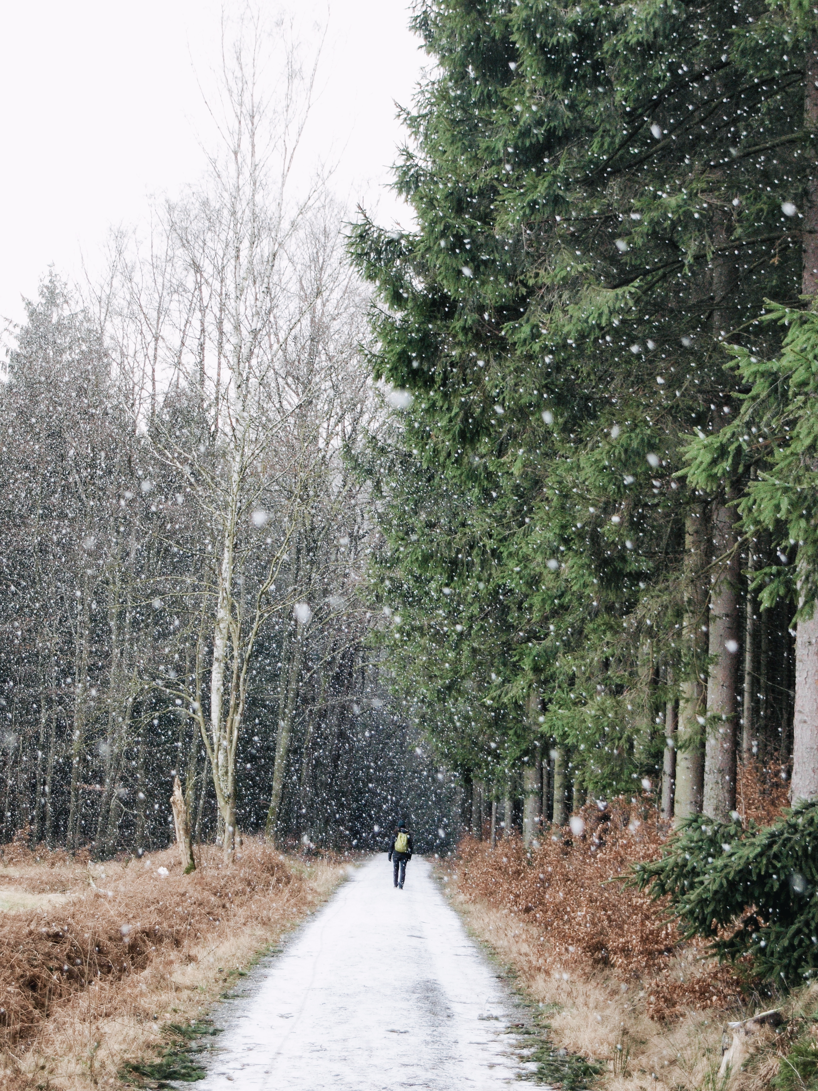 Processed with VSCO with hb1 preset