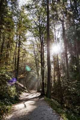 Die ersten Sonnenstrahlen