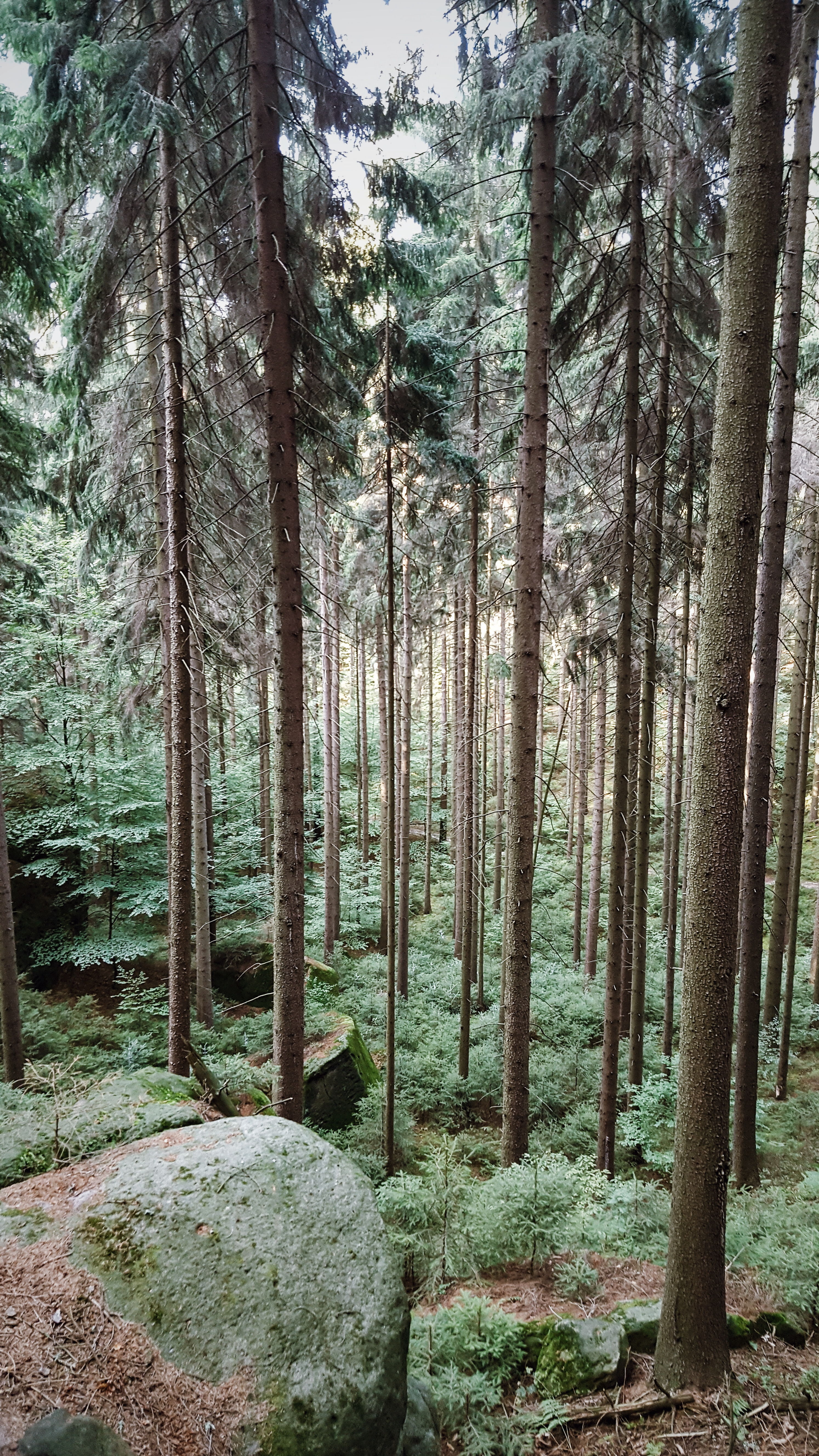 Processed with VSCO with j2 preset