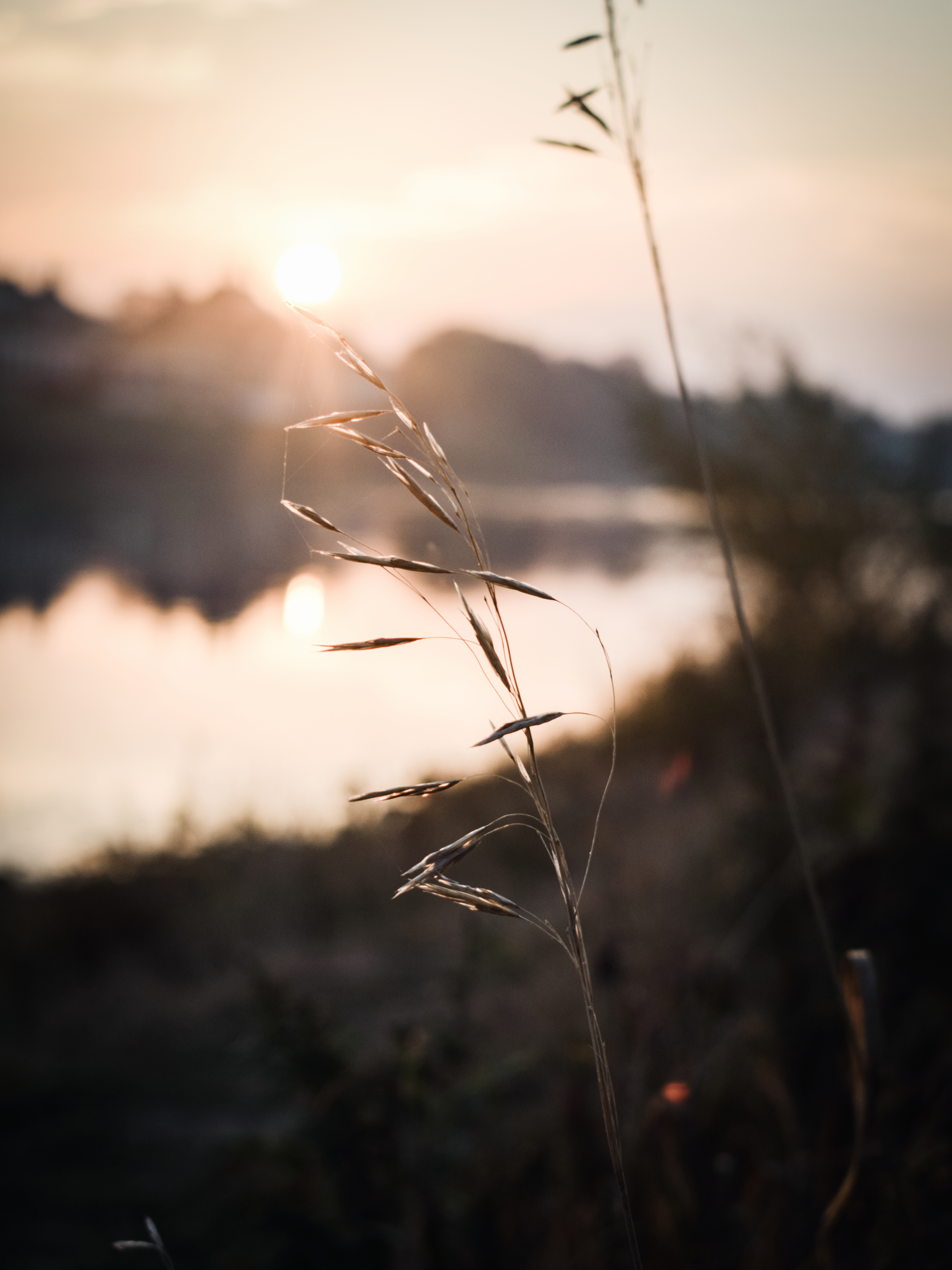 2018-10-17 08.41.29 1.jpg