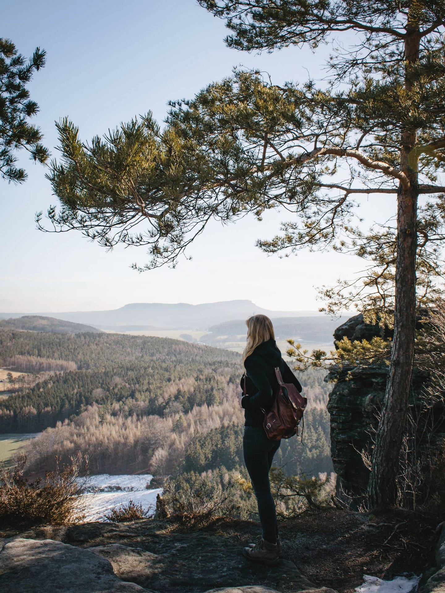 2019-02-16 03.04.15 1.jpg