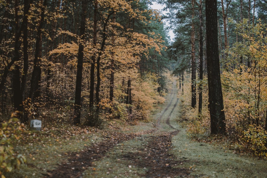 Durch Brandenburger Gefilde: Das&nbsp;Briesetal